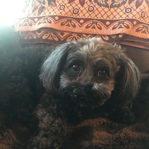 Meet your Posher, Michaela